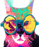 Funky Cat With Glasses
